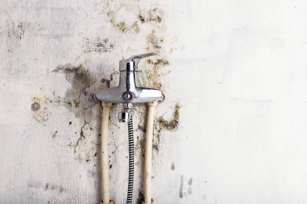 Best Bathroom Mold Remediation in Leavenworth, KS